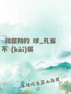 這就是我的籃球