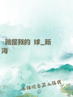 這就是我的籃球