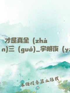 這才是真全戰(zhàn)三國(guó)
