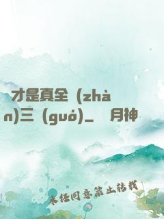 這才是真全戰(zhàn)三國(guó)