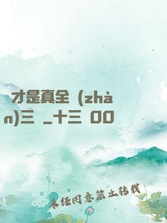 這才是真全戰(zhàn)三國