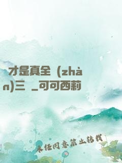 這才是真全戰(zhàn)三國