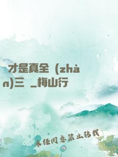 這才是真全戰(zhàn)三國