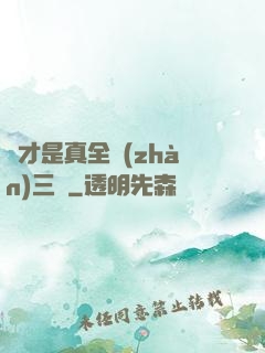 這才是真全戰(zhàn)三國