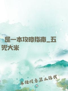 這是一本攻略指南