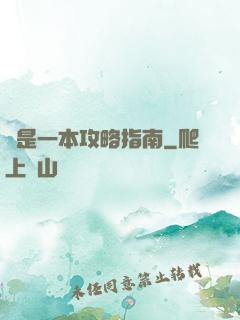這是一本攻略指南
