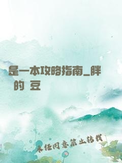 這是一本攻略指南