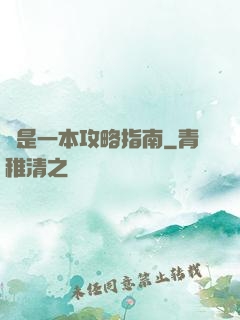 這是一本攻略指南