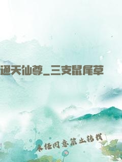 通天仙尊