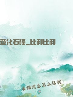 造化石碟