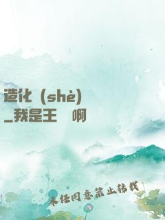 造化設(shè)計師