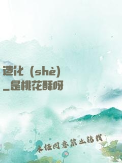 造化設(shè)計師