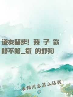 道友留步！我兒子問你服不服