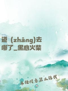 道長(zhǎng)去哪了