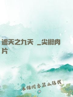 遮天之九天書