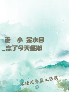 邊走邊愛小說金水目錄
