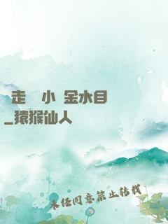 邊走邊愛小說金水目錄