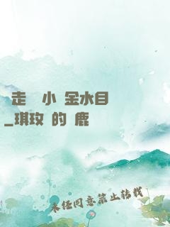 邊走邊愛小說金水目錄