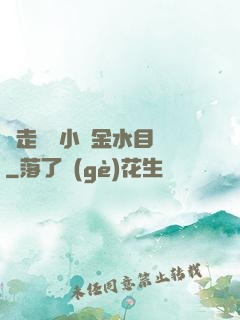 邊走邊愛小說金水目錄