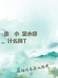 邊走邊愛小說金水目錄