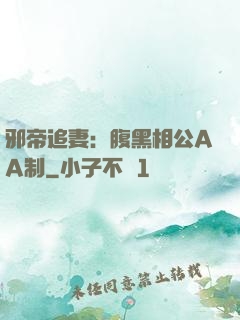 邪帝追妻：腹黑相公AA制
