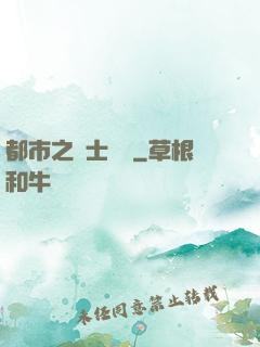 都市之國士無雙