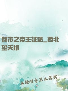 都市之帝王征途
