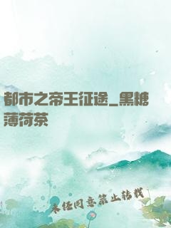 都市之帝王征途