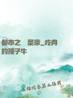 都市之無敵圣帝