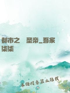 都市之無敵圣帝