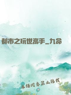 都市之玩世高手
