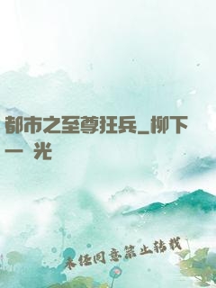 都市之至尊狂兵