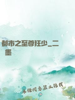 都市之至尊狂少