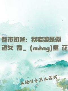 都市奶爸：我老婆是霸道女總裁