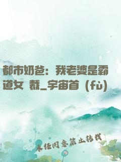 都市奶爸：我老婆是霸道女總裁