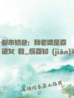 都市奶爸：我老婆是霸道女總裁