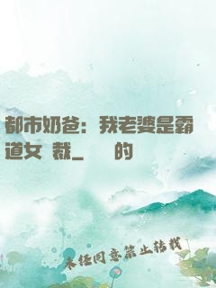 都市奶爸：我老婆是霸道女總裁