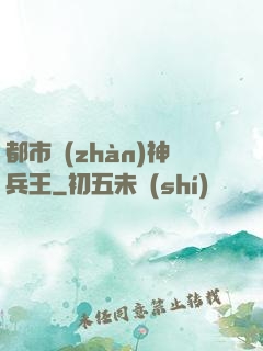 都市戰(zhàn)神兵王