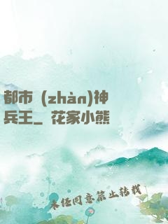 都市戰(zhàn)神兵王