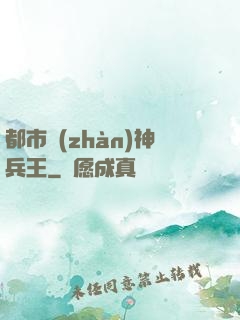 都市戰(zhàn)神兵王