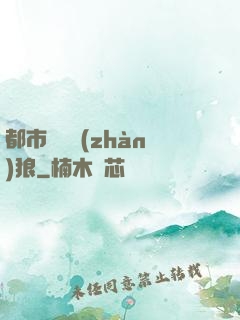 都市無敵戰(zhàn)狼