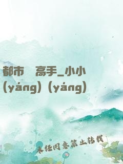 都市無敵高手