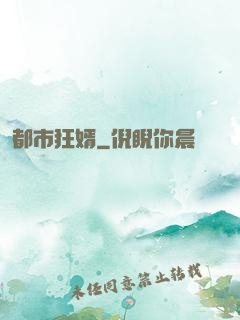 都市狂婿
