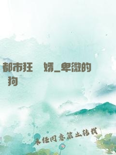 都市狂龍贅婿