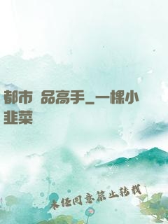 都市絕品高手