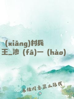 鄉(xiāng)村兵王