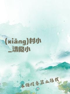 鄉(xiāng)村小無賴