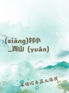 鄉(xiāng)村小無賴