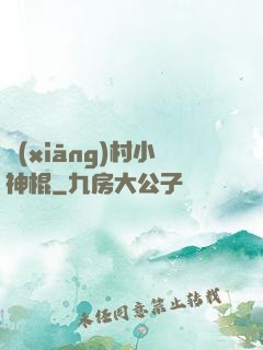 鄉(xiāng)村小神棍