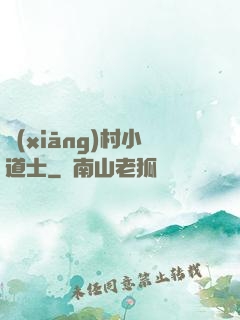 鄉(xiāng)村小道士